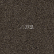 Ковровая плитка Modulyss Millennium Nxtgen Millennium Nxtgen 883 фото 1 | FLOORDEALER